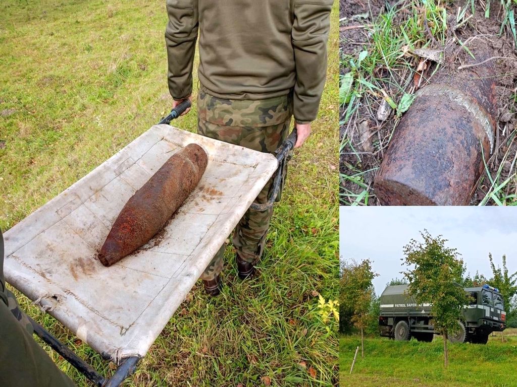 kmp elbląg, pastwisko, saperzy, krowa, rolnik, pocisk, pocisk artyleryjski