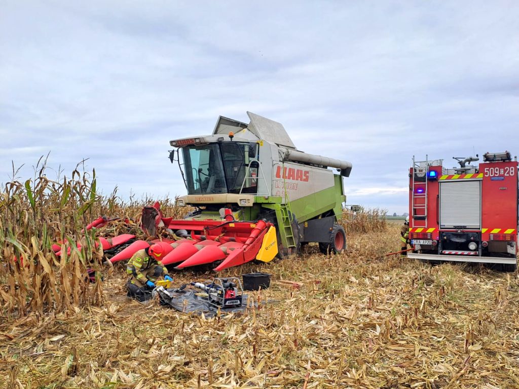 kp psp radziejów, wypadek, prace polowe, zbiór kukurydzy, koszenie kukurydzy, lpr, ranny mężczyzna