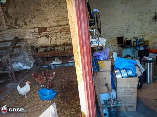 cbśp, prokuratura, śledztwo, akt oskarżenia, kurnik, produkcja narkotyków, narkotyki