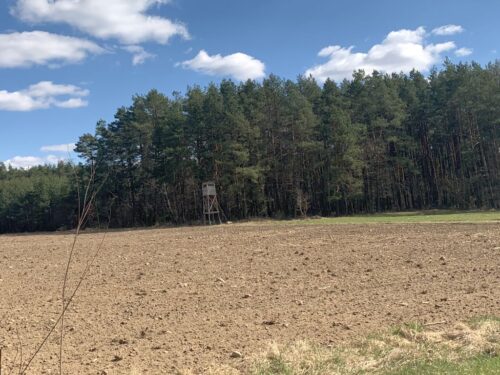 izba rolnicza, samorząd rolniczy, irwł, szkody łowieckie, odszkodowania, wakacje kredytowe, kontrola, aplikacja suszowa