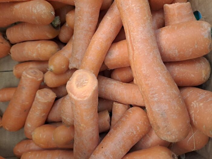 policja, zatrzymanie, złodzieje, kradzież, pole, kapusta, marchew