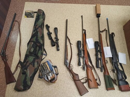 kmp ostrołęka, myśliwi, polowanie, kłusownictwo, łoś, odstrzał, zatrzymanie, broń, zarzuty