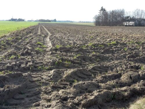 polska wieś i rolnictwo, badanie, raport, ziemia, zakup ziemi, dzierżawa, młodzi rolnicy