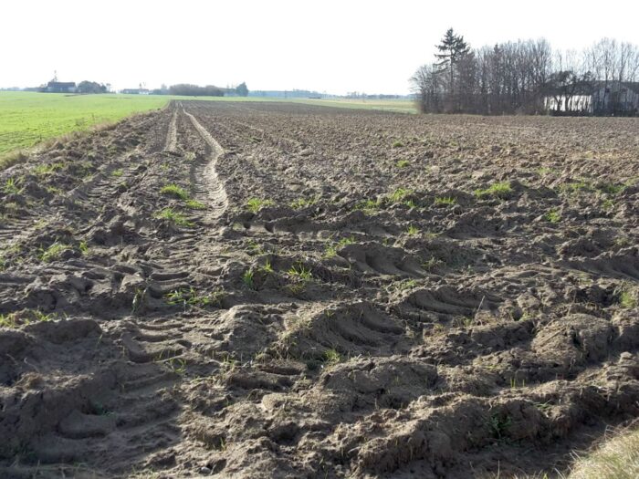 polska wieś i rolnictwo, badanie, raport, ziemia, zakup ziemi, dzierżawa, młodzi rolnicy