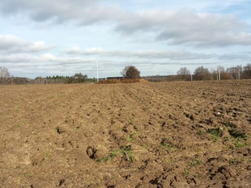 pko bp, analiza, raport, nieruchomości, rynek, działki, grunty