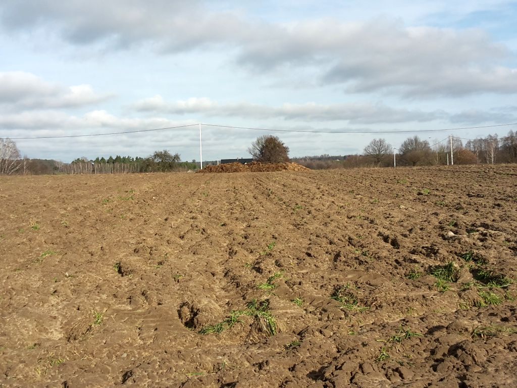 pko bp, analiza, raport, nieruchomości, rynek, działki, grunty