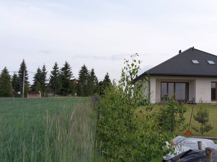 polska wieś i rolnictwo, badanie, raport, migracje, przeprowadzka, wieś, miasto