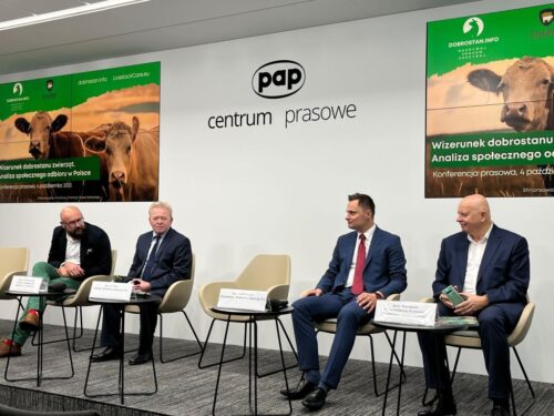 organizacje hodowlane, hodowcy bydła, hodowla bydła, dobrostan, dobrostan zwierząt, konferencja, raport