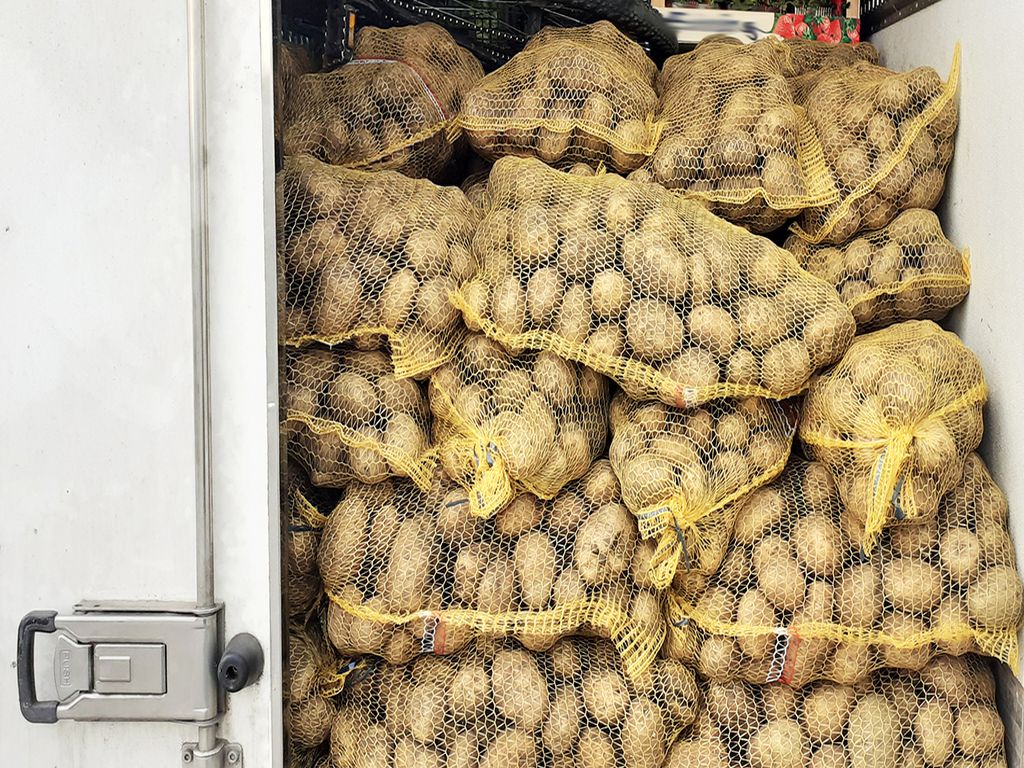 ziemniaki, wykopki, zbiory ziemniaków, ceny ziemniaków