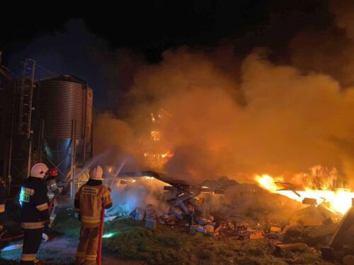 psp, osp, pożar, kurnik, ferma, drobiu, pisklęta, straty