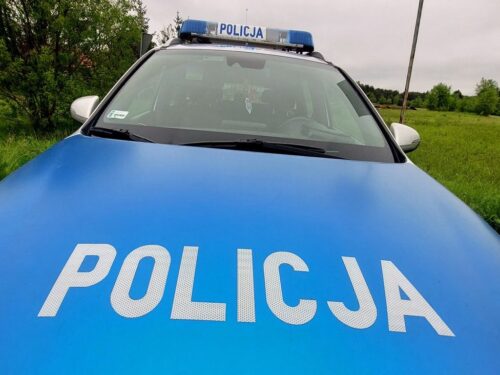 kpp nisko, podcinanie, drzewa, linia energetyczna, napięcie, prąd, porażenie