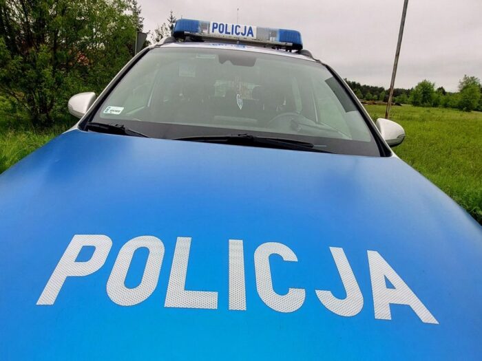 kpp nisko, podcinanie, drzewa, linia energetyczna, napięcie, prąd, porażenie