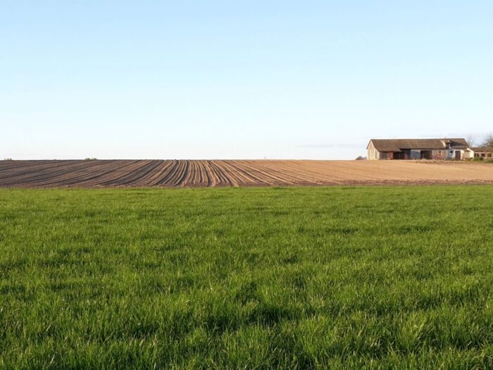 badanie, raport, polska wieś i rolnictwo, opłacalność, rozwój gospodarstw, inwestycje, maszyny, budynki, ziemia