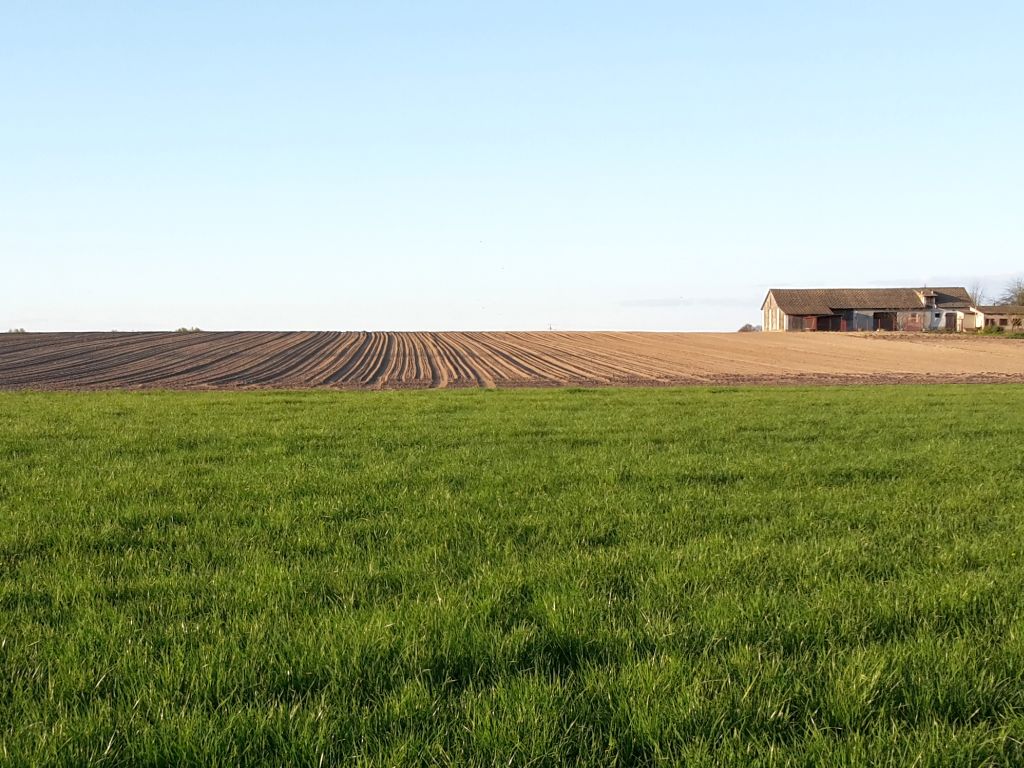 badanie, raport, polska wieś i rolnictwo, opłacalność, rozwój gospodarstw, inwestycje, maszyny, budynki, ziemia