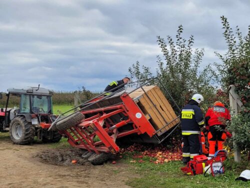 kp psp sandomierz, wypadek, zbiór jabłek, jabłka, sad, ranne kobiety, platforma sadownicza, ciągnik, przygniecenie