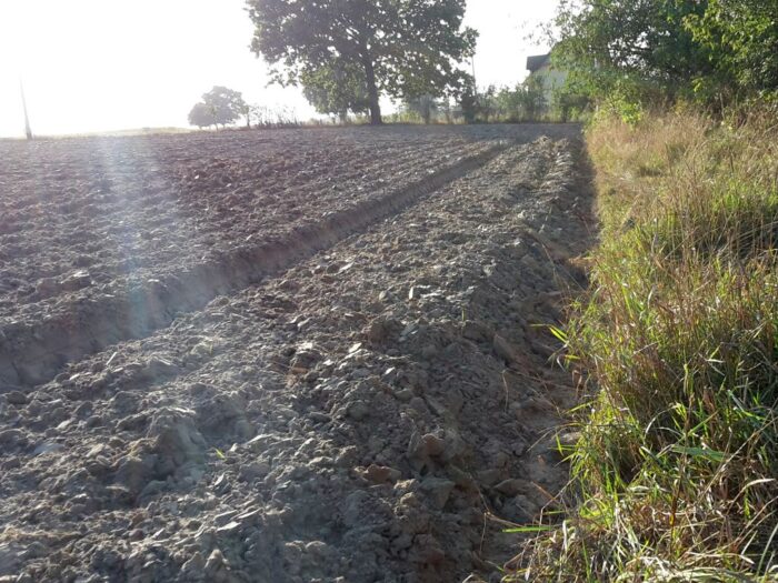 satelita, intuition-1, komputer, sztuczna inteligencja, dane, rolnictwo, gleby, ochrona środowiska