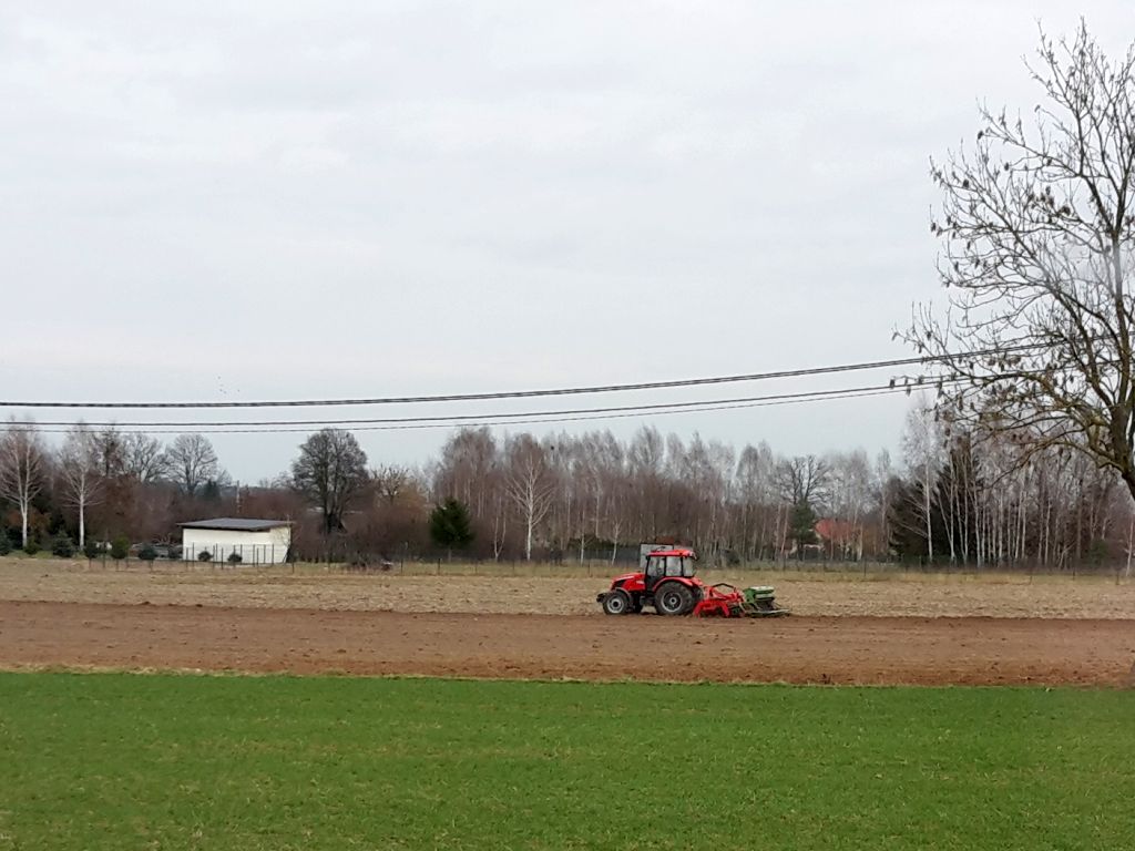 ariimr, agencja, materiał siewny, nasiona, dopłaty, wsparcie, wnioski