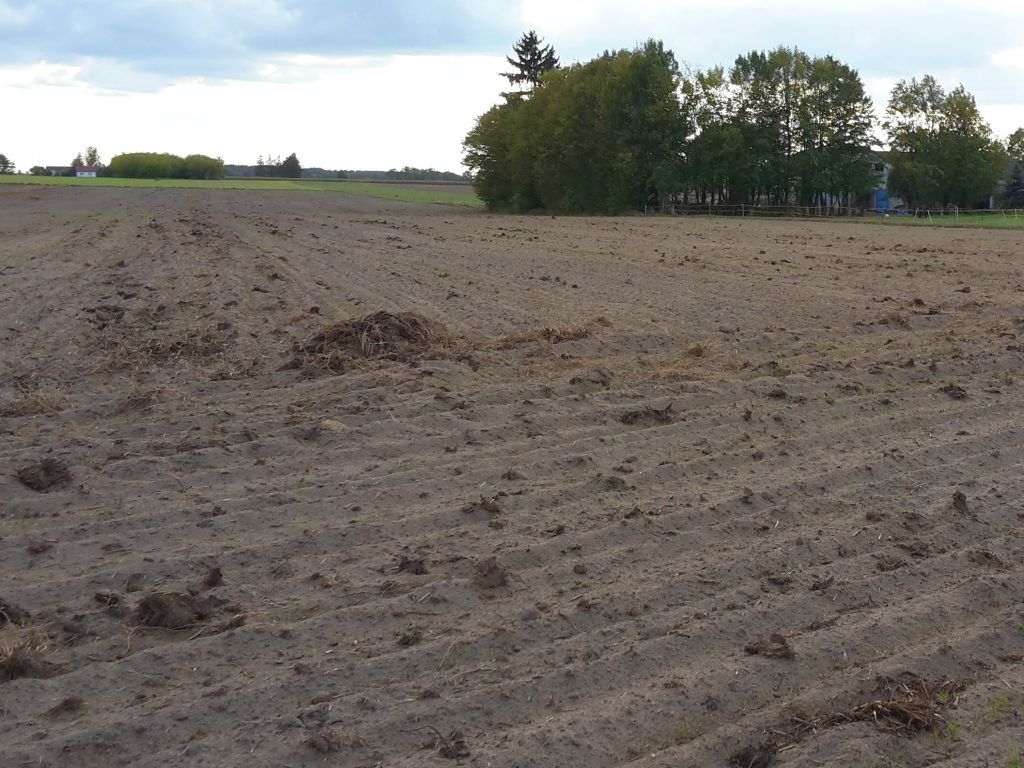 mrirw, resort rolnictwa, ministerstwo, nawożenie, nawozy naturalne, nawozy azotowe, terminy, program azotanowy