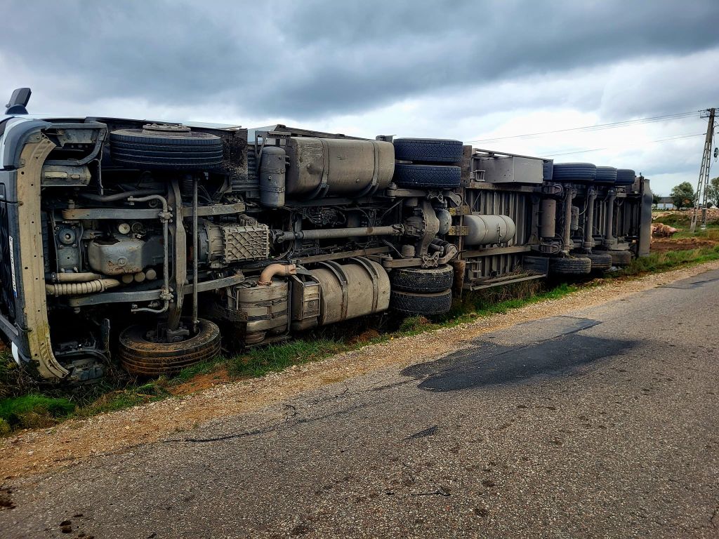 zdarzenie drogowe, kolizja, wywrócona ciężarówka, transport świń, przewóz trzody chlewnej, psp, osp