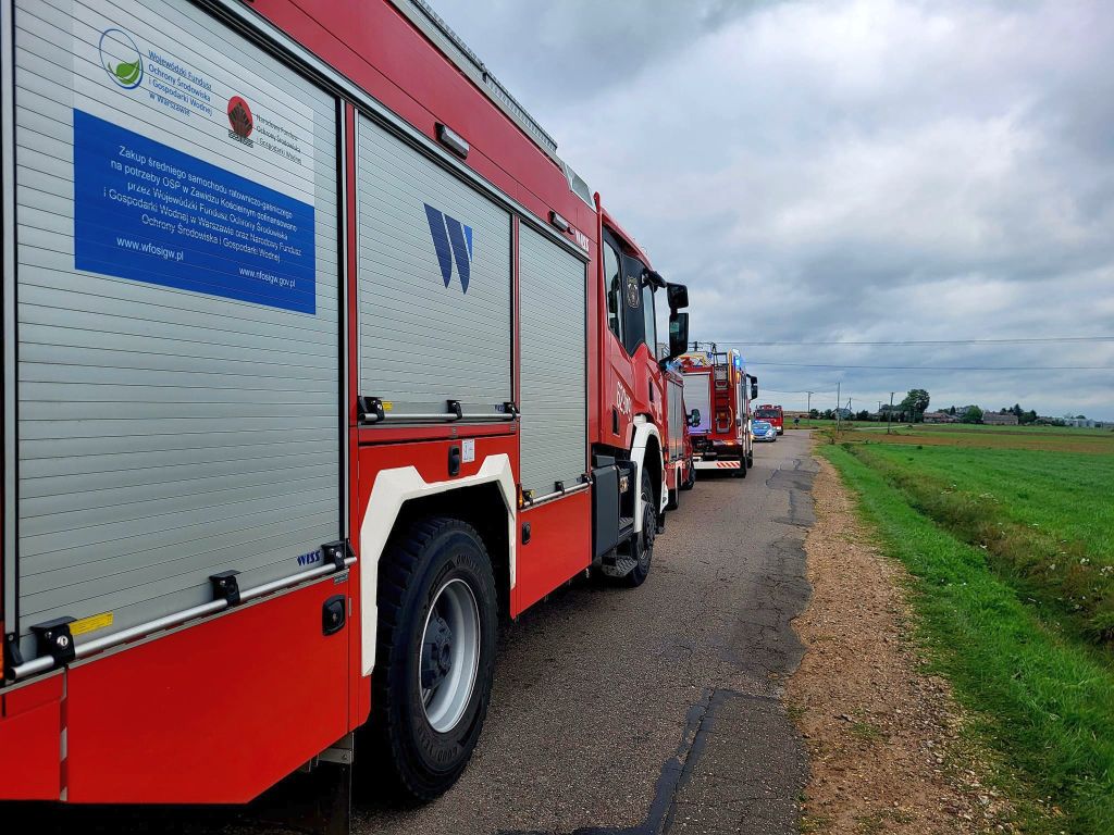 zdarzenie drogowe, kolizja, wywrócona ciężarówka, transport świń, przewóz trzody chlewnej, psp, osp