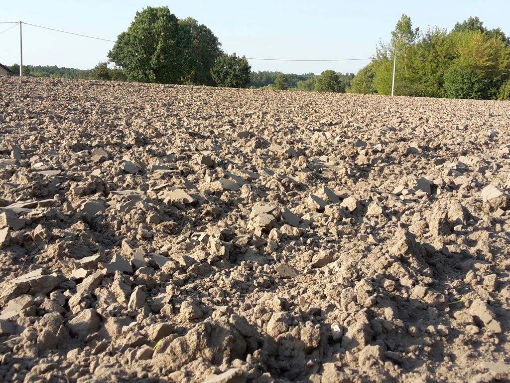 prawo, zmiana, przepisy, grunty, nabywanie, zasiedzenie, obrót, grunty rolne, kowr