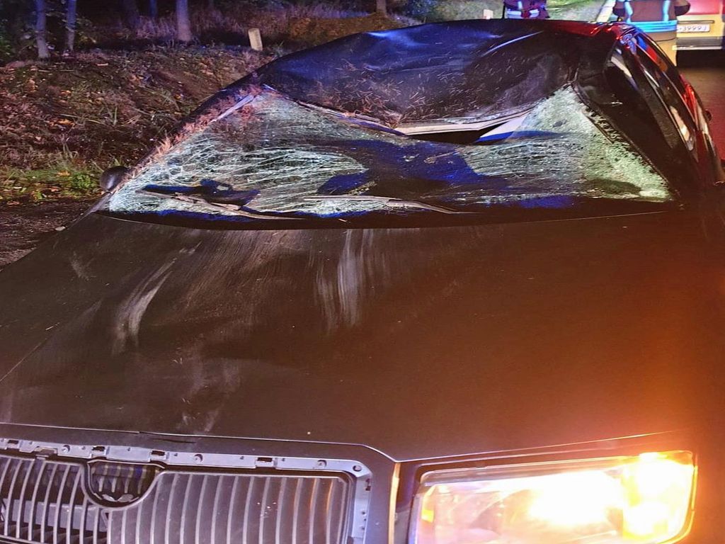 policja mazowsze, wypadek, zdarzenie drogowe, zderzenie, auto, dzikie zwierzę, jeleń, łoś