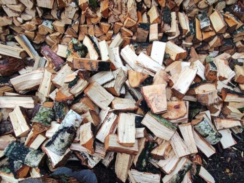 lasy państwowe, lasy, leśnik, drewno, gałęziówka, samowyrób, opał