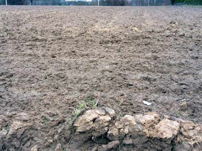 prawo, projekt, rozporządzenie, państwowy zasób, grunty, użytki rolne, dzierżawa, czynsz, czynsz dzierżawny