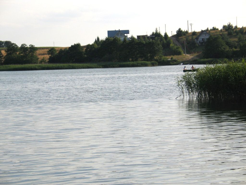 drawieński park narodowy, ryby, zarybienie, narybek, jesiotr