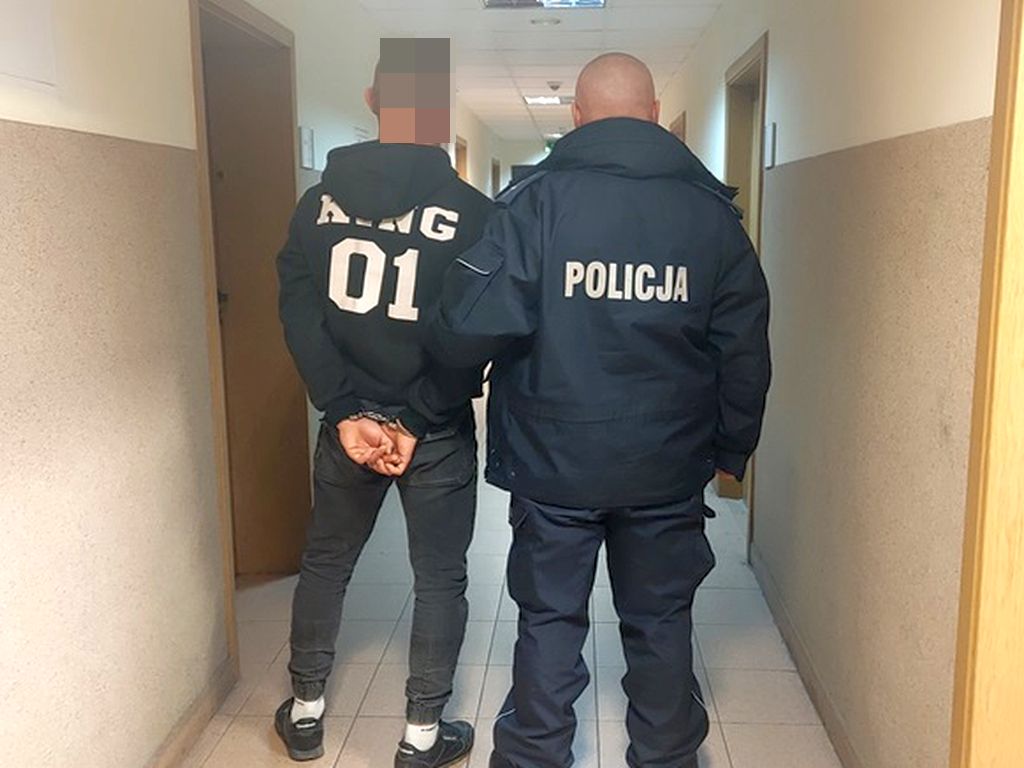 kpp kutno, kradzież, złodziej, zatrzymanie, zarzuty, ciągniki, włamanie