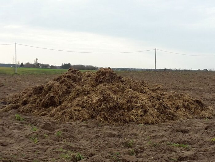 mrirw, nawożenie, stosowanie nawozów, nawozy azotowe