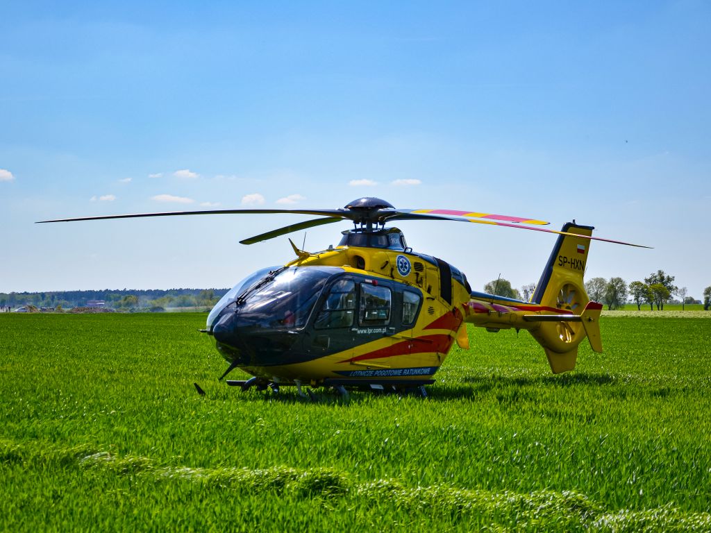 niedźwiedź, atak, ranny, akcja ratunkowa, lpr