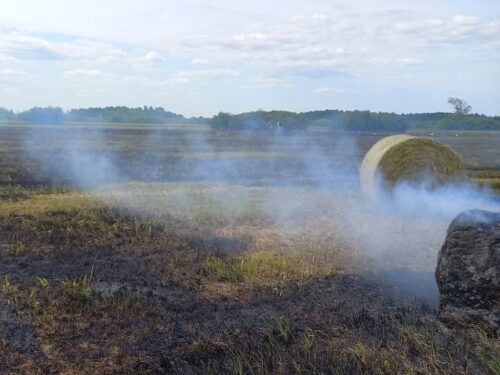 kpp starogard gdański, kp skórcz, pożar, podpalenie, słoma, baloty, ściernisko, sąd, nieletni
