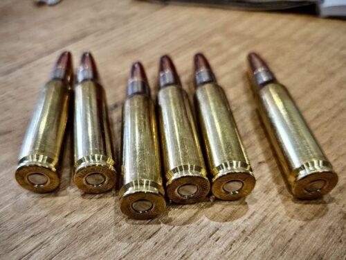 kpp piła, polowanie, strzały, odstrzał, zwierzyna, zatrzymanie, zarzuty