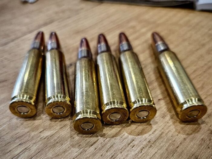 kpp piła, polowanie, strzały, odstrzał, zwierzyna, zatrzymanie, zarzuty