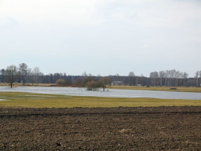 parlament europejski, europarlament, komisja, przepisy, odtworzenie przyrody, przyroda, rolnictwo