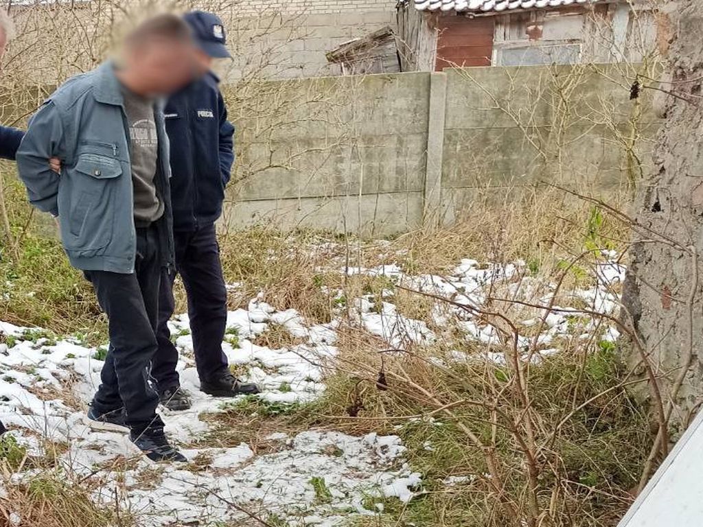 kpp mława, psy, znęcanie się, zabicie zwierzęcia, areszt