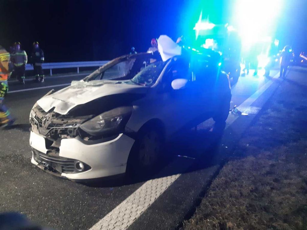 kmp tarnów, wypadek, kolizja, zdarzenie drogowe, auto, osobówka, łoś, zderzenie, autostrada
