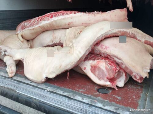 kpp bolesławiec, kradzież, paserstwo, półtusze wieprzowe, mięso, transport, straty