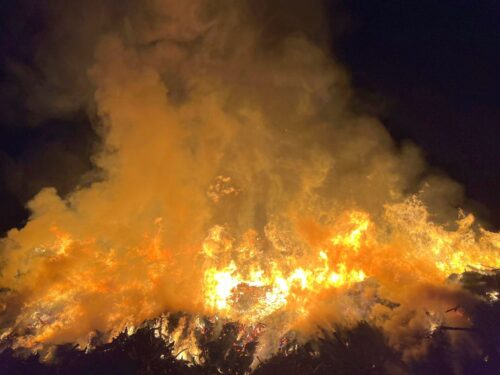 wojna, konflikt, izrael, hamas, hezbollah, liban, pożar, drzewa oliwne, straty