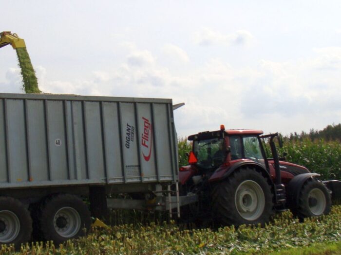 cbos, badanie, praca, rynek pracy, ocena, gospodarstwo, praca w gospodarstwie