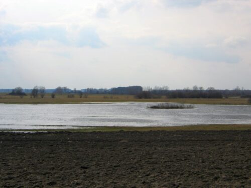 rozporządzenie, odtworzenie przyrody, rolnictwo, europarlament, zalewska