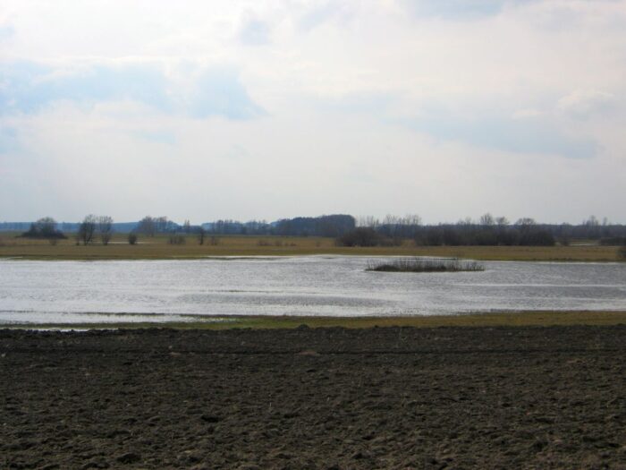 rozporządzenie, odtworzenie przyrody, rolnictwo, europarlament, zalewska