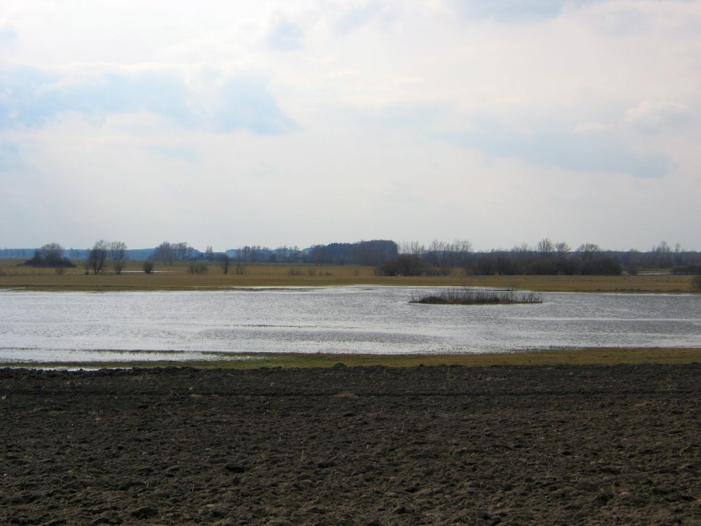 dopłaty do torfowisk, torfowiska, obszary podmokłe, gaec2