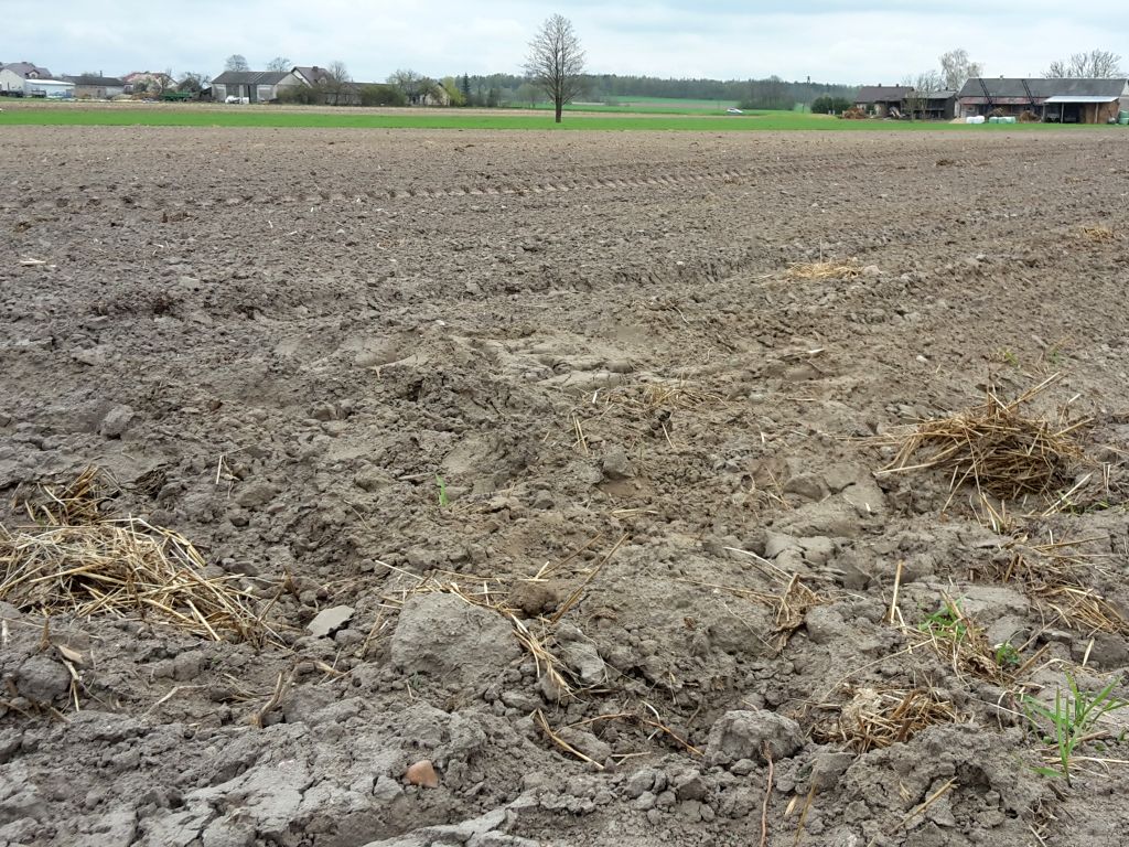 europejskie forum rolnicze, efr, debata, dyskusja, rolnictwo, ue, innowacje