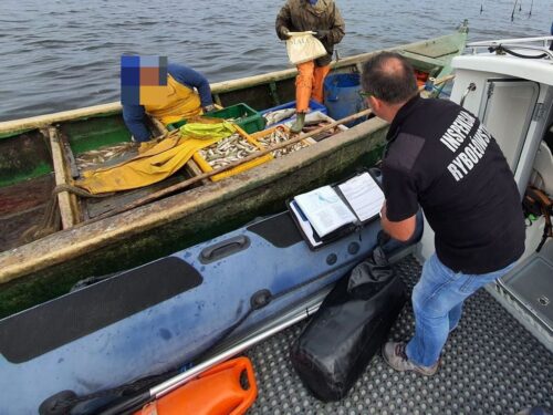 ue, rada ue, rybołówstwo, rybacy, statki rybackie, kontrole, przeławianie