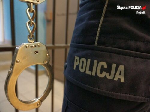 kmp rybnik, kradzież, ładowarka, koparko-ładowarka, pługi, pługi ciągnikowe, zatrzymany