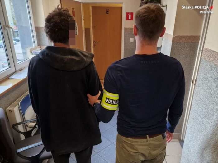 kpp pszczyna, podpalacz, słoma, siano, pożar, schronisko, zwierzęta, zatrzymanie