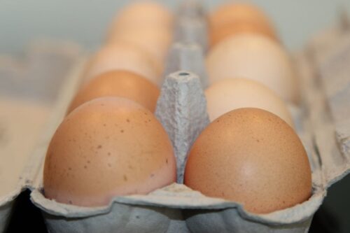 copa cogeca, zdrowie zwierząt, dobrostan, choroby zwierząt, transport zwierząt, chów klatkowy, jaja, fbzpr