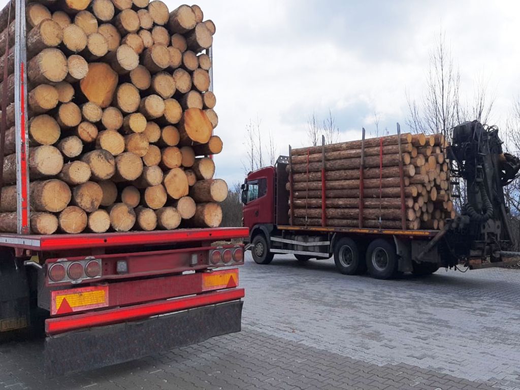 pko bp, raport, branża drzewna, drewno, rentowność, papier, meble